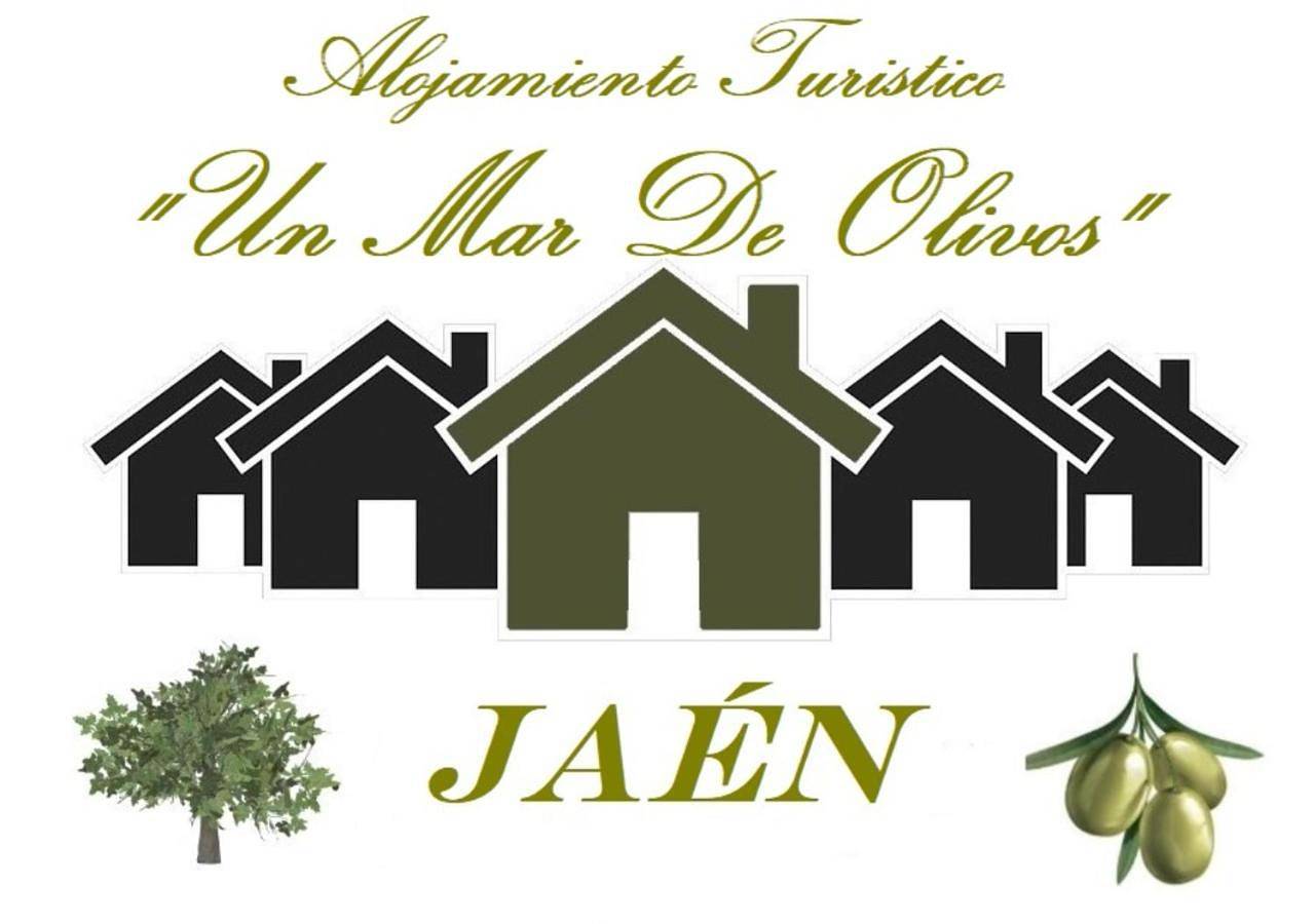 Alojamiento Turístico Un Mar De Olivos Jaén in Jaén, Jaén Province