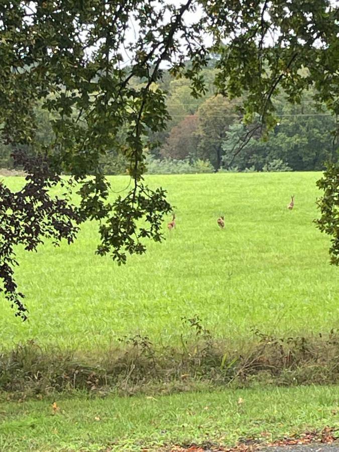 Location de vacances pour 4 personnes, avec vue et jardin à Maurens - 3