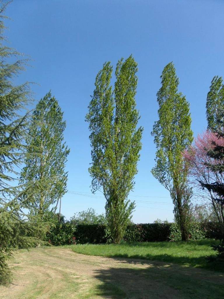 Quadruple Room with Bath in Romagne (Vienne), Vienne (France)