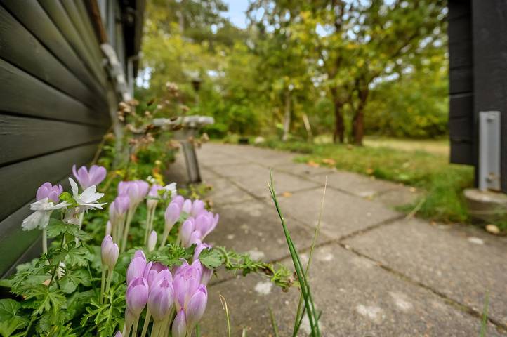 Ferienhaus für 6 Personen, mit Terrasse, mit Haustier auf Rømø - 2