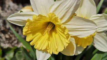 Agriturismo voor 4 Personen in Achenkirch, Tiroler Unterland, Afbeelding 4
