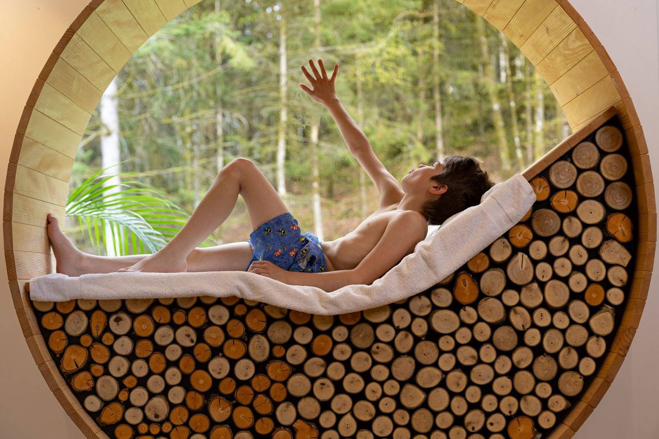 Chalet "Home des Bois" - Nature & Bien-Être à Ventron in Ventron, Parc naturel régional des Ballons des Vosges