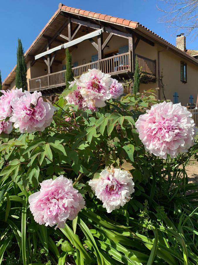Maison de vacances pour 13 personnes, avec jardin ainsi que piscine et vue, animaux acceptés - 1