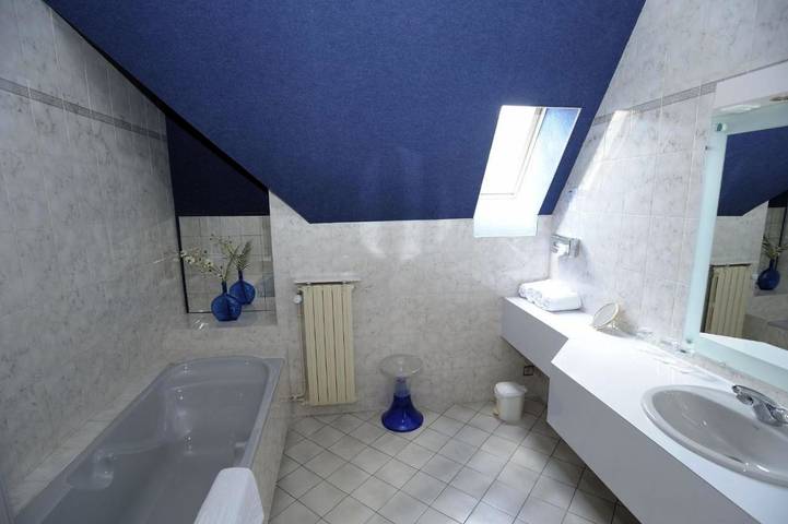 Hôtel pour 3 personnes, avec jardin et terrasse dans Neuvéglise-sur-Truyère - 3