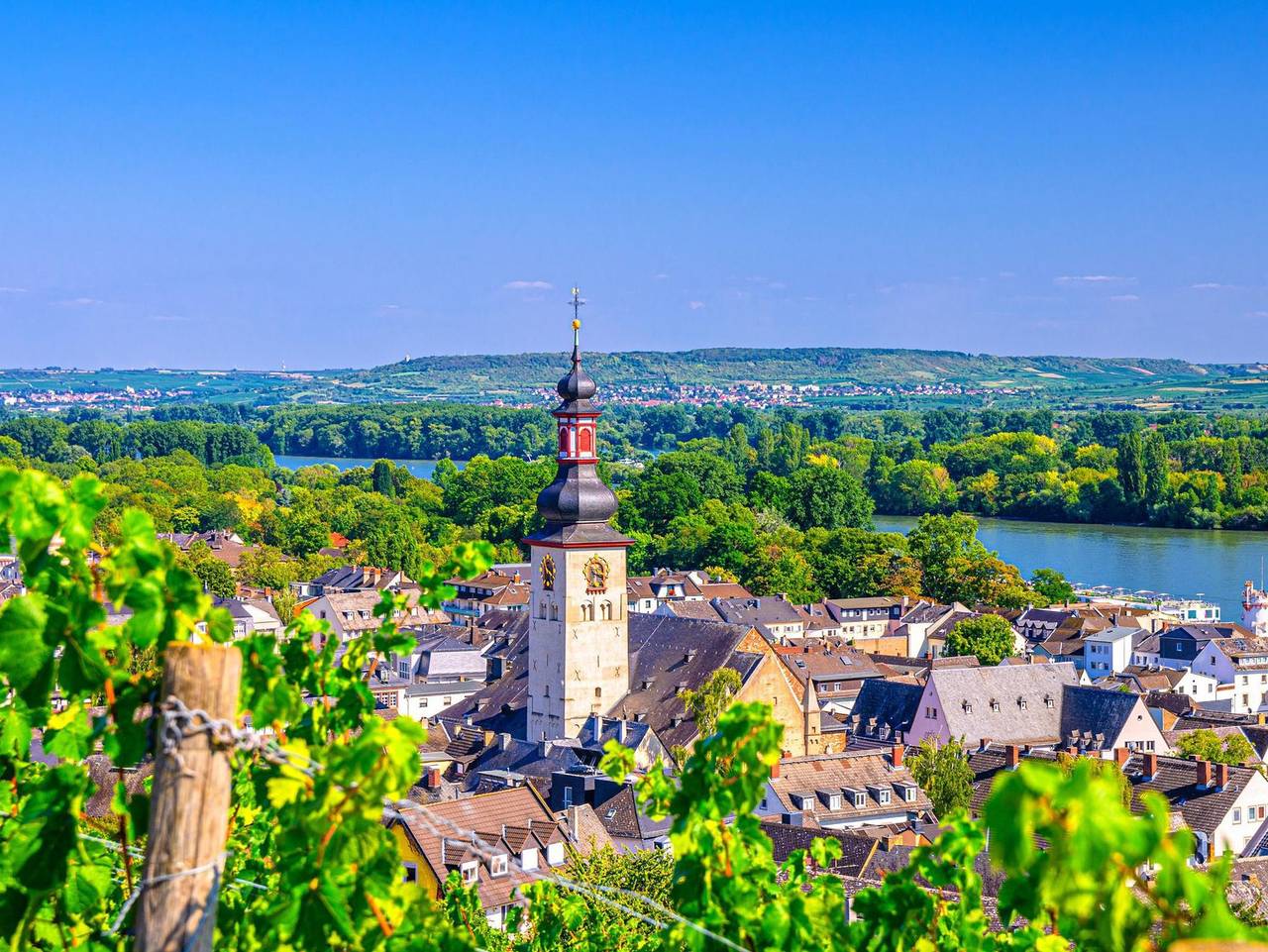 Ganze Ferienwohnung, Ferienwohnungen auf einem Weingut - Labed - Fewo auf einem Weingut in Rüdesheim am Rhein, Rheingau-Taunus-Kreis