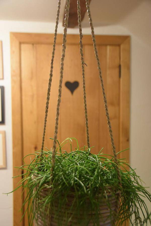 Location de vacances pour 4 personnes, avec vue et jardin à Fauvillers