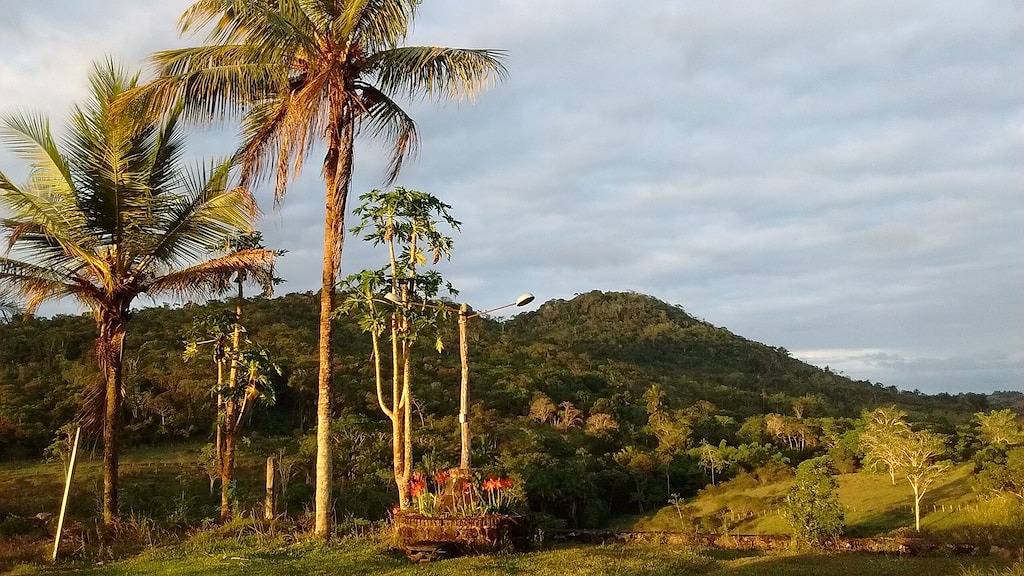 Ökologischer Bauernhof Im Wald Von Copioba in Recôncavo Baiano