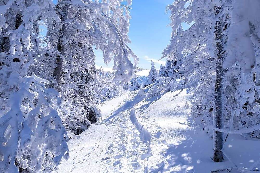 Entire apartment, La Maison D'evelyne,gite Classé 3 Étoiles et Labélisé Famille Plus in Villard-de-Lans, Parc naturel régional du Vercors