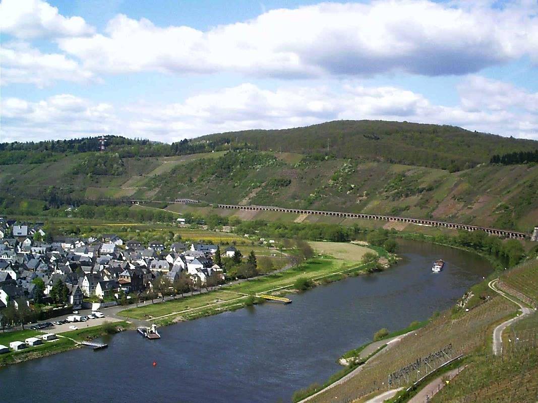 Ganze Ferienwohnung, Wein- &amp; Wohngut Paulushof in Pünderich, Traben-Trarbach und Umbegung