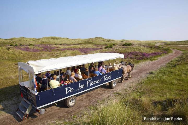 Ferienpark für 6 Personen, mit Garten und Ausblick auf Texel - 4