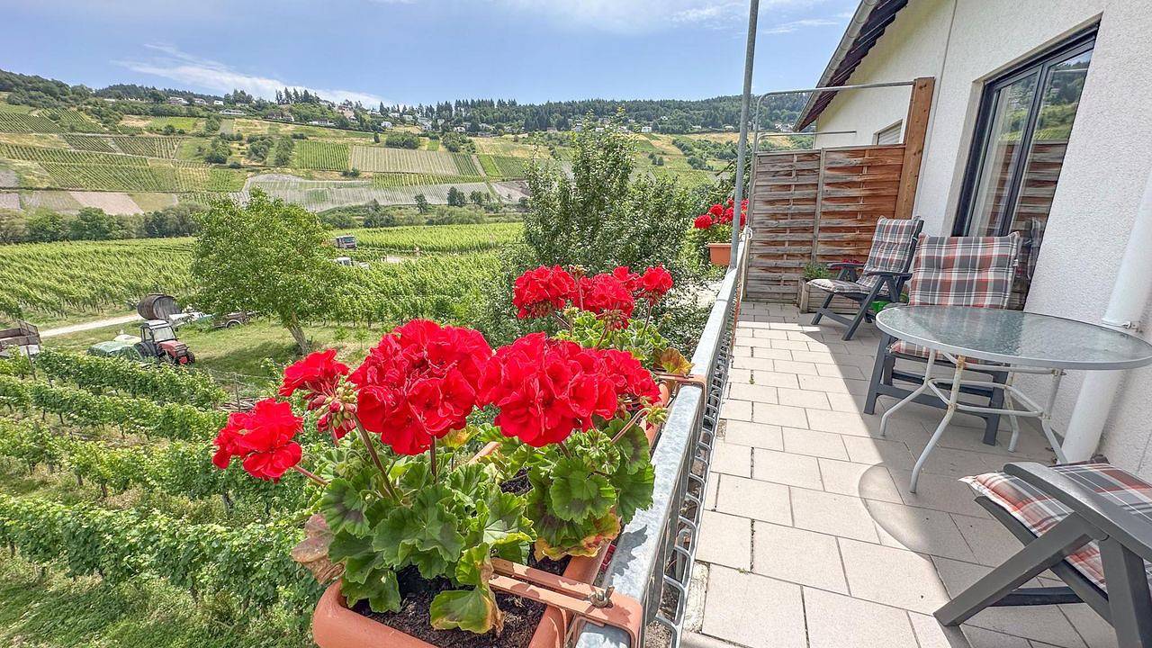 Geheel vakantieappartement, Ferienwohnung für 2 Personen (55 m²) in Trittenheim in Trittenheim, Moseleifel