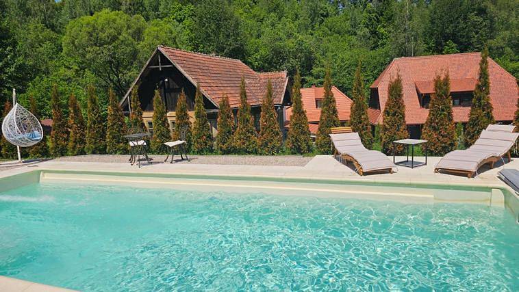 Villa for 17 people, with pool and garden as well as view, with pets in Romania
