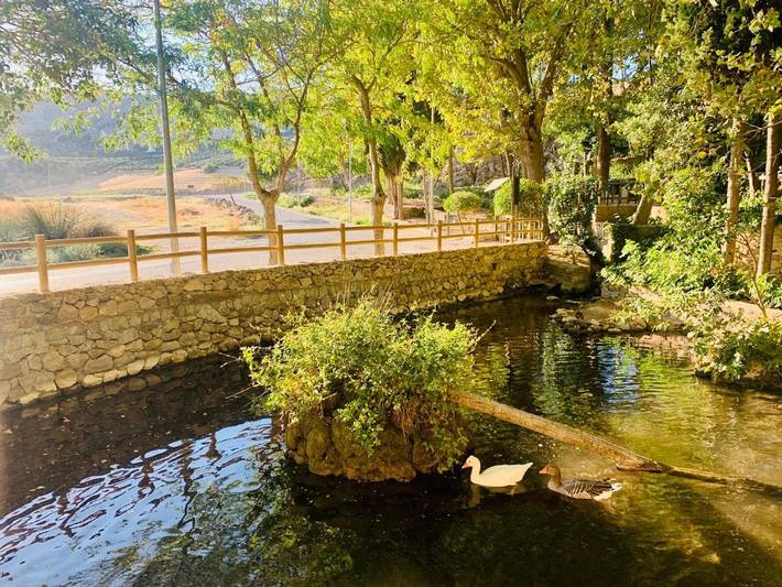 Location de vacances pour 12 personnes, avec terrasse ainsi que piscine et vue, animaux acceptés à Cuevas del Becerro - 4