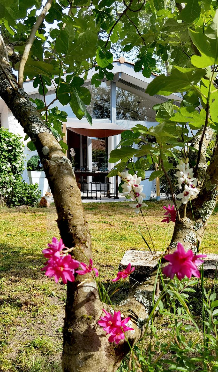 Casa de vacaciones 'Nathou' con terraza privada, jardín compartido y Wi-Fi in La Teste-de-Buch, Region de Arcachon