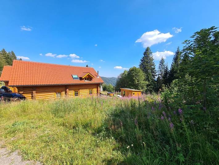Ferienhaus für 14 Personen, mit Garten und Sauna sowie Whirlpool, kinderfreundlich in Feldberg - 3