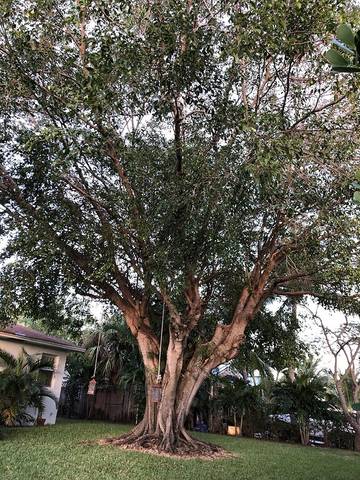 Vacation Home for 8 Guests in West Palm Beach, Palm Beach County, Picture 3