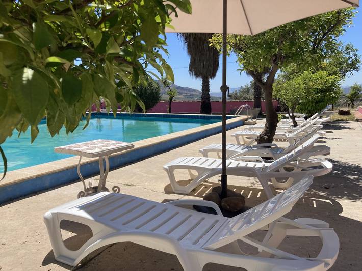 Finca für 17 Personen, mit Balkon und Garten, kinderfreundlich in Álora - 3