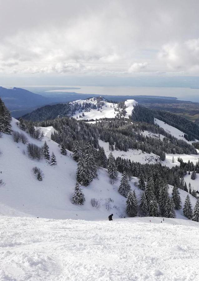 Gîte pour 2 personnes, avec terrasse dans Lac Léman (France) - 4