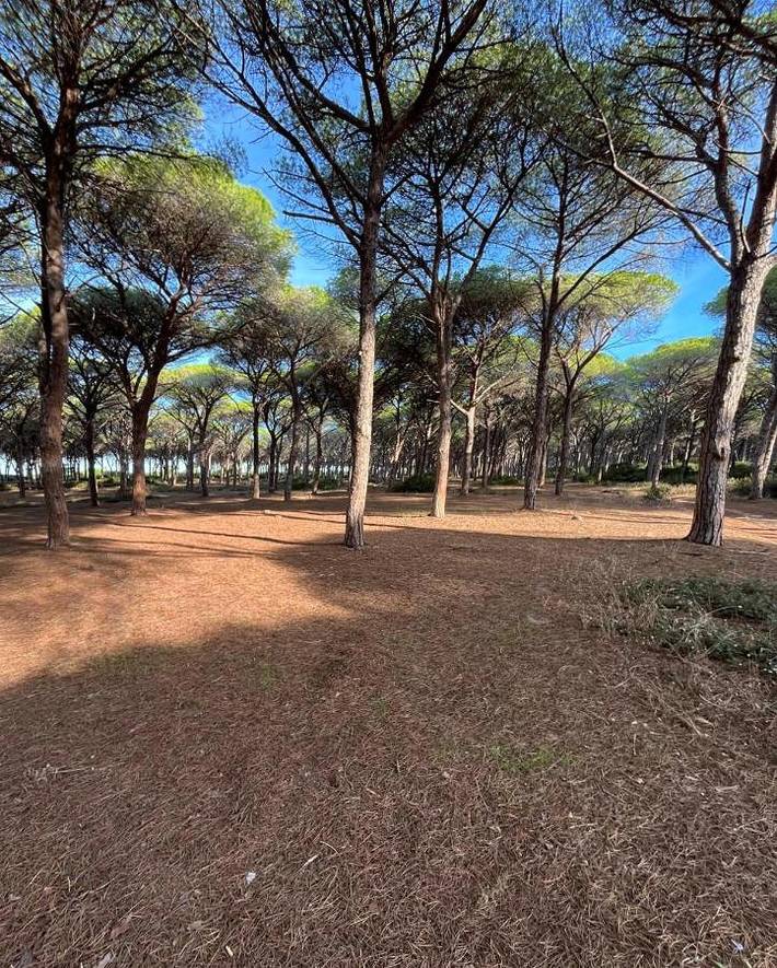 Location de vacances pour 2 personnes, avec Jardin et Vue à Arborea - 4