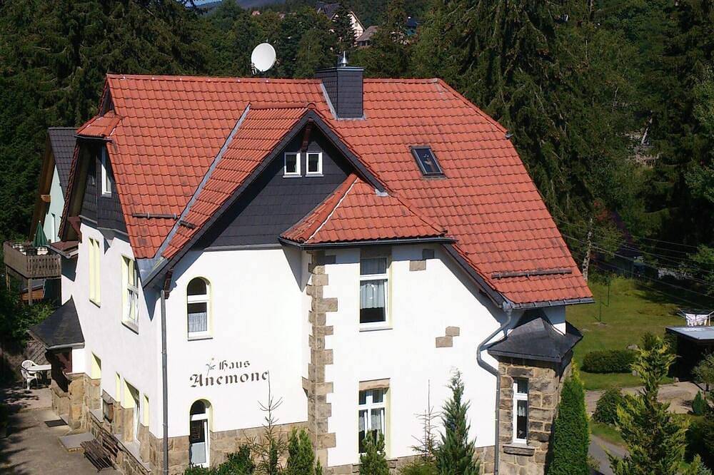 Ganze Wohnung, Friedegerns Fewos in Jugendstilvilla-Fewo Heine in Wernigerode, Harzvorland