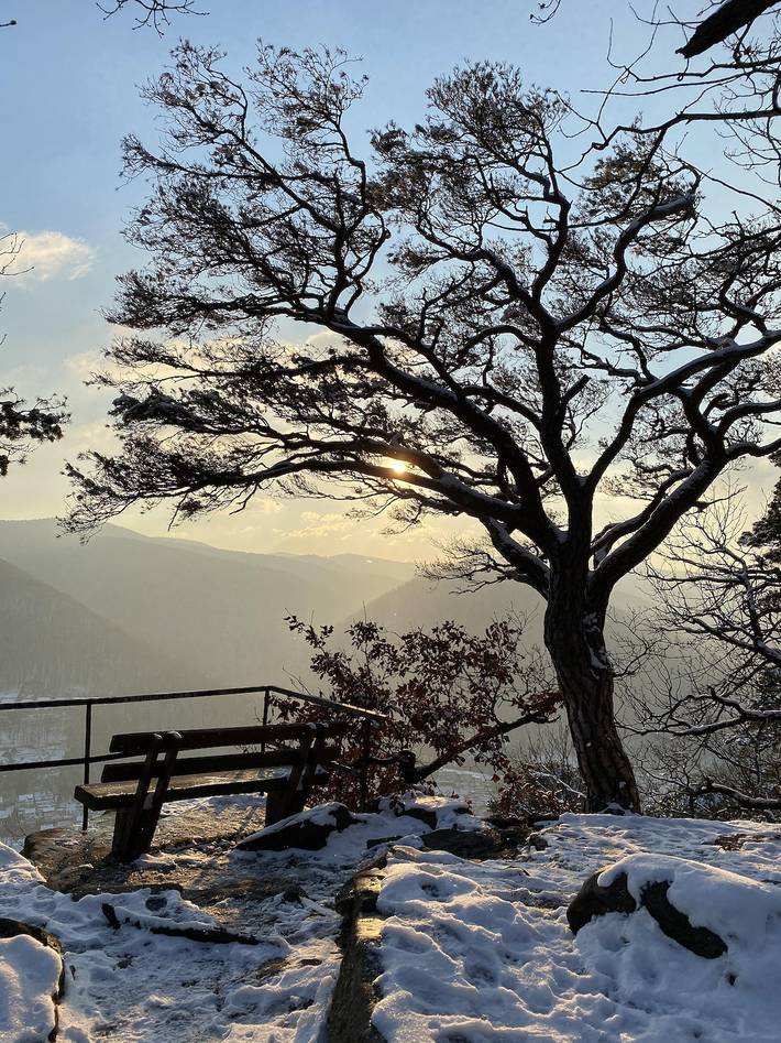 Ferienwohnung für 2 Personen, mit Terrasse in Neustadt an der Weinstraße - 2