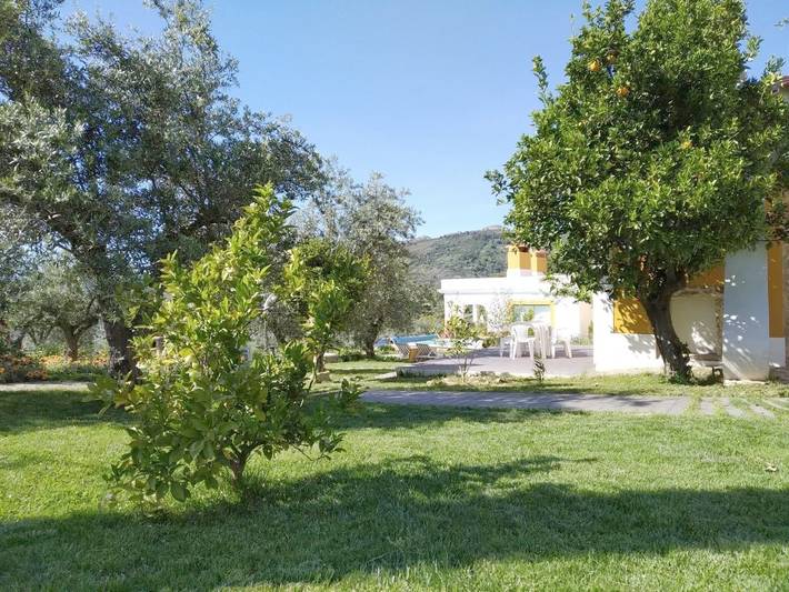 Maison de campagne pour 4 personnes, avec jardin ainsi que piscine et vue, animaux acceptés à Portalegre - 2