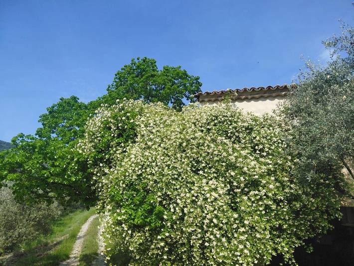 Location de vacances pour 2 personnes, avec Terrasse ainsi que Jardin et Vue à Aubres - 3