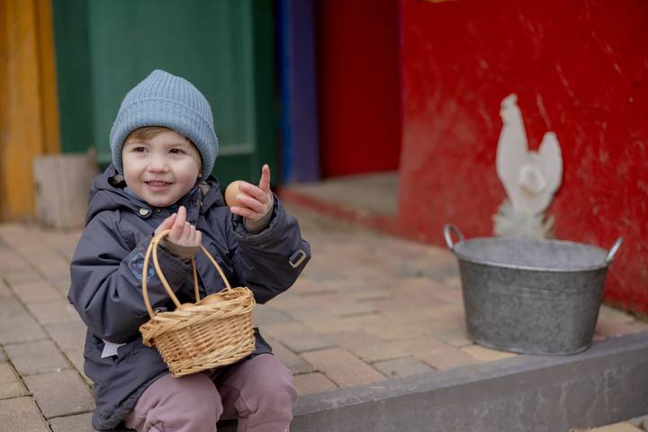 Bauernhof für 6 Personen, mit Pool und Garten sowie Sauna, mit Haustier am Mittelrhein - 4