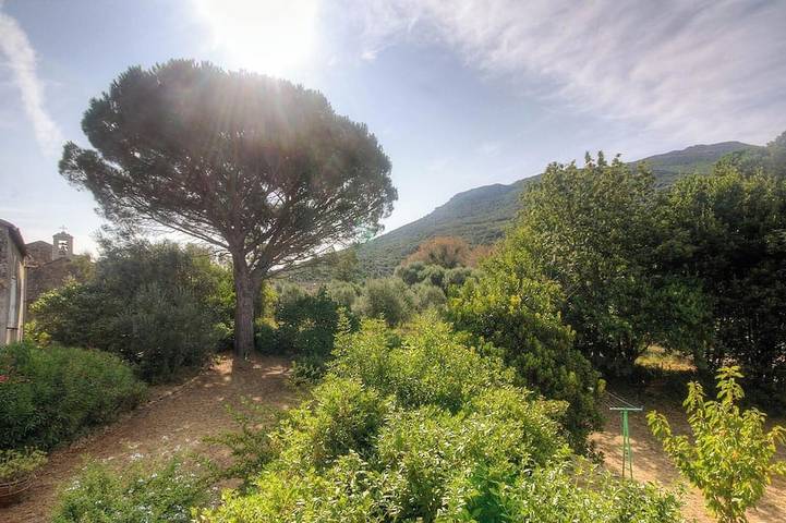 Location de vacances pour 5 personnes, avec terrasse à Luri - 4