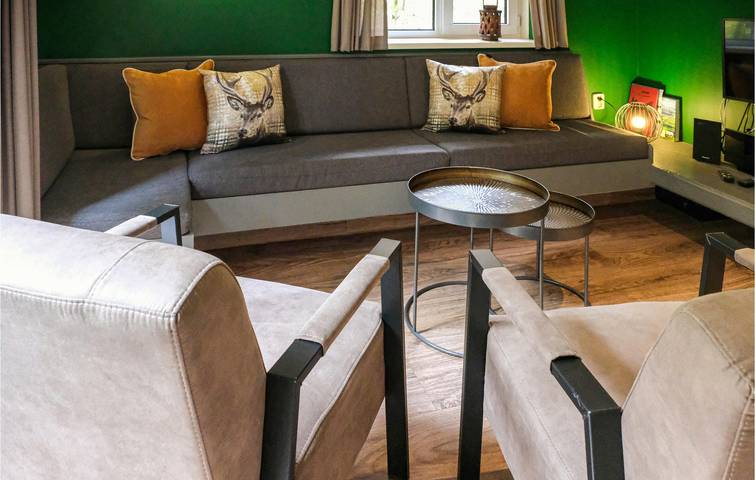 Ferienhaus für 6 Personen, mit Terrasse und Garten sowie Whirlpool, mit Haustier in Overijssel - 3