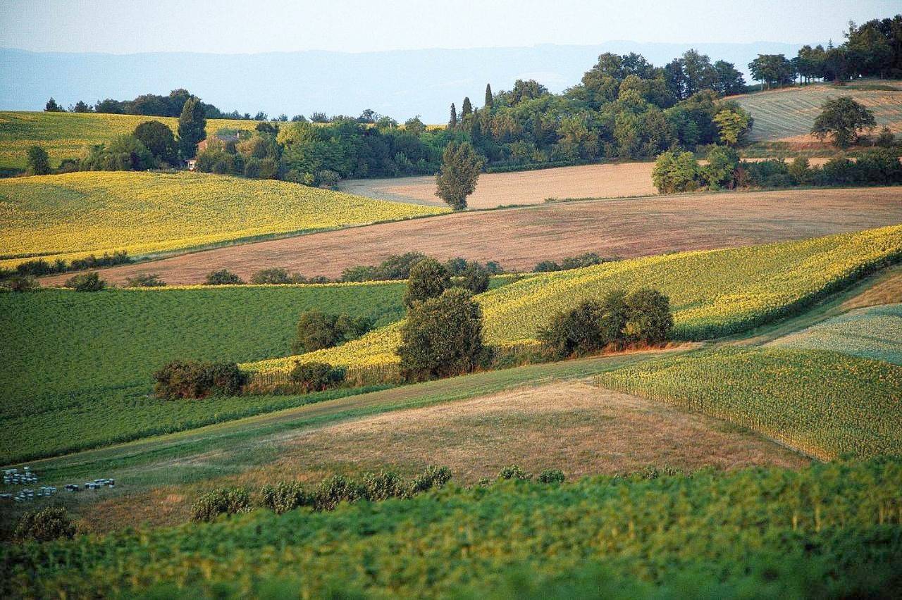 Auberge du Poids Public in Saint-Félix-Lauragais, Lauragais