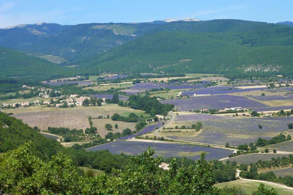 Appartement entier, Au pays de la lavande, au pied de la montagne de Lure in Lardiers, Région de Forcalquier