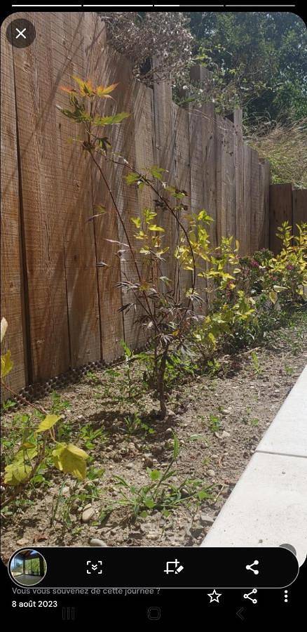 Chambre d’hôte pour 5 personnes, avec jardin et vue dans l' Isère - 3