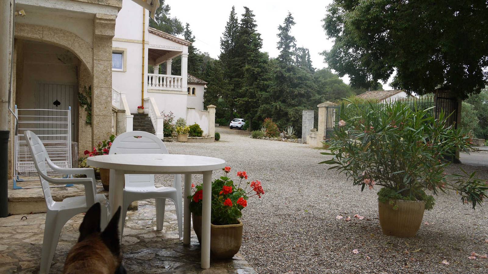 Mas Epic - Le Piquepoul in Castelnau-de-Guers, Côte d'Améthyste