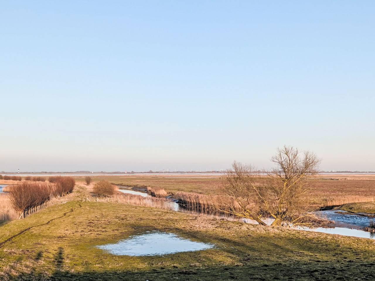Ganze Wohnung, Wischhafen 648 - Kiebitz 648.2 in Freiburg (Elbe), Cuxland