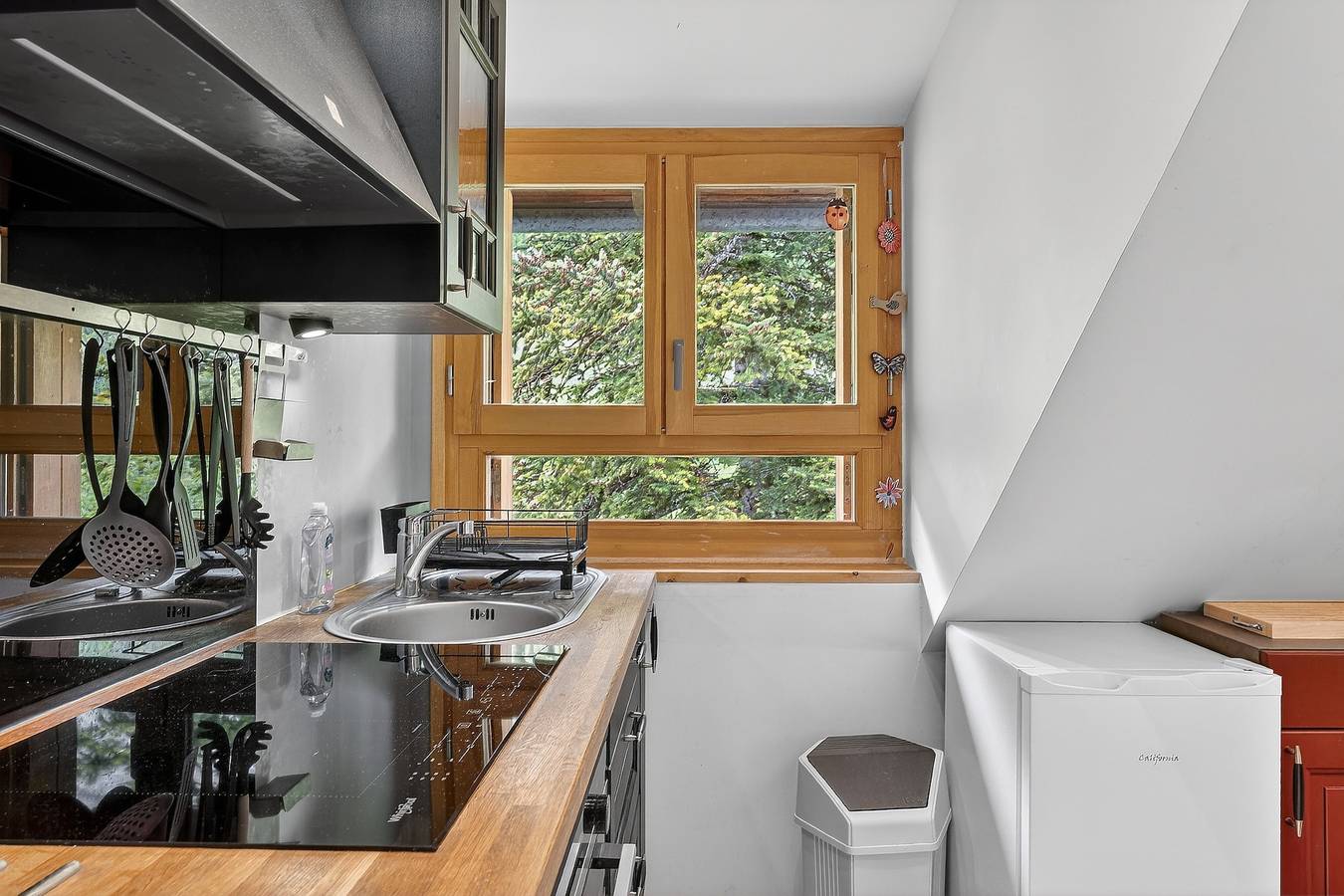 Ganzes Studio, Studio-Apartment 'En Montagne, Mercantour' mit Bergblick, Gemeinschaftsgarten & Wlan in Entraunes, Nizza und Umgebung