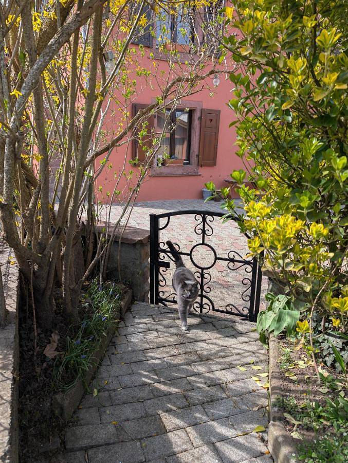 Gîte pour 2 personnes, avec Terrasse ainsi que Jardin et Vue à Buhl - 3
