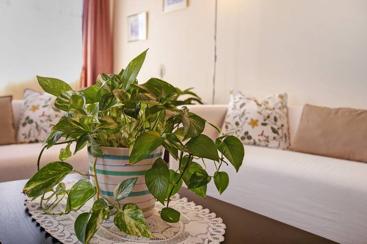 Ferienhaus für 5 Personen, mit Haustier auf den Kanaren - 3