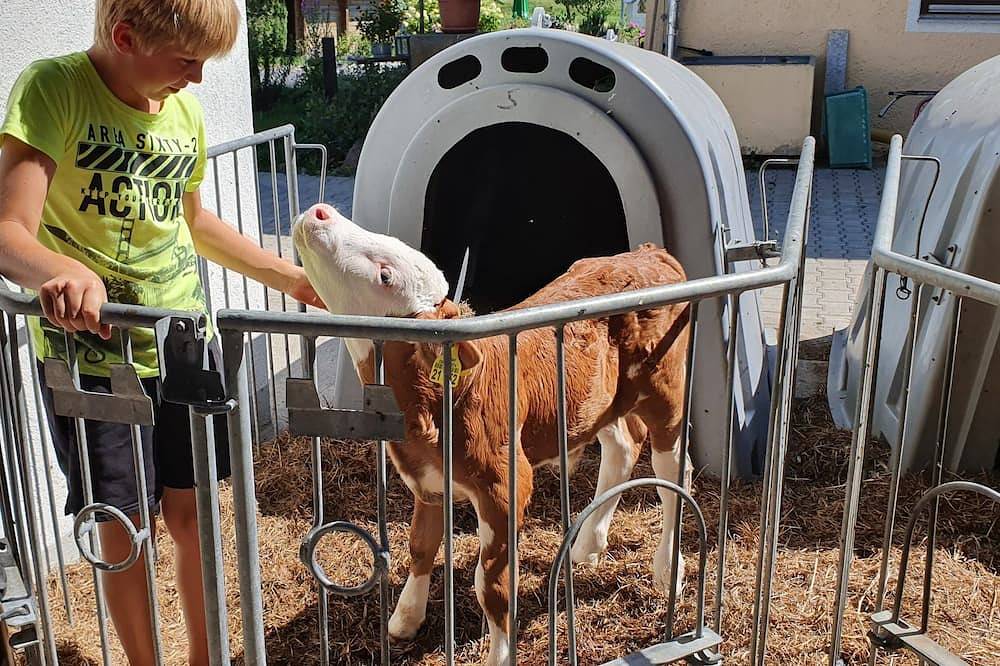 Ganze Wohnung, Oma's Welt - ****Fewo, Og, 55 qm, 2 - 5 Pers, komb. Wohn-/Schlafzi. + sep. Schlafzi. in Grabenstätt, Chiemsee