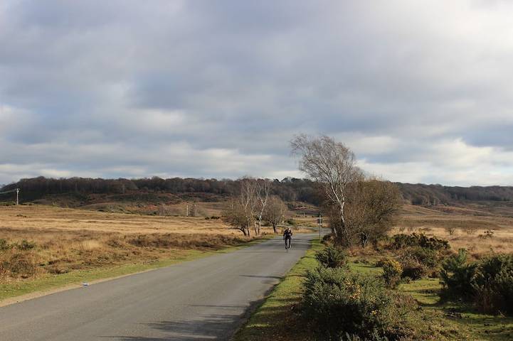 Cottage for 6 people, with garden in Burley