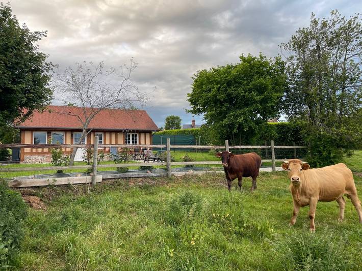 Gîte pour 4 personnes, animaux acceptés