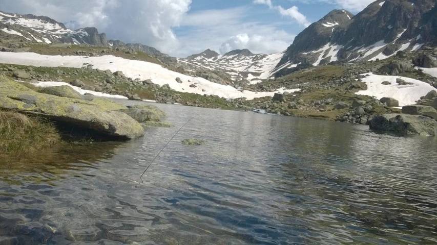 Gîte pour 2 personnes, avec terrasse et jardin à El Pont de Suert - 3