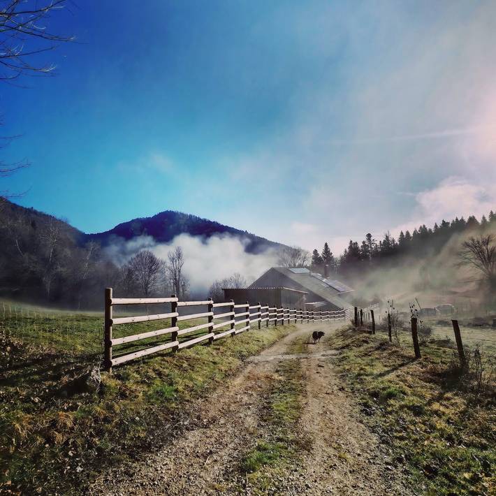 Gîte pour 8 personnes, avec terrasse, animaux acceptés