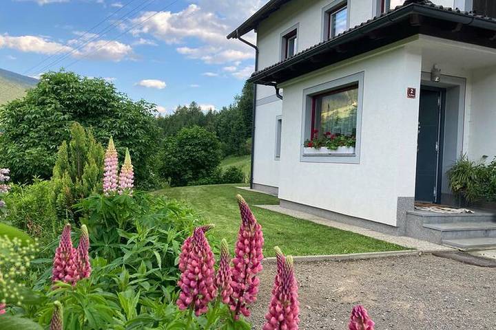 Chalet in Rennweg nahe Skipisten in Hohe Tauern, Rennweg am Katschberg