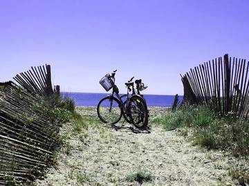 Camping für 4 Personen in Dolus-d'Oléron, Île d'Oléron, Bild 1