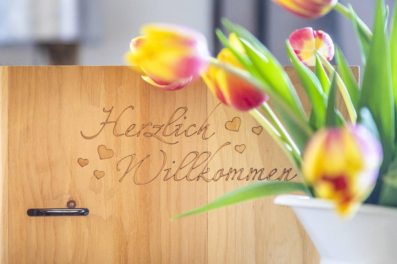 Ganze Ferienwohnung, Komfort in Dachsteingebirge, Filzmoos