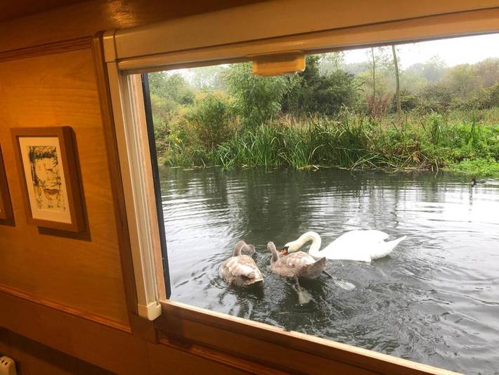 Barco para 3 personas, con vistas y terraza - 1