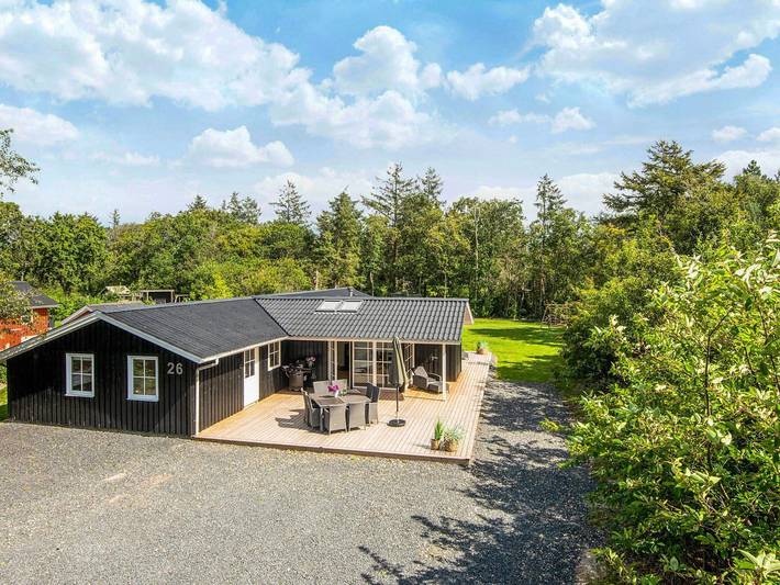 Ferienhaus für 8 Personen, mit Terrasse und Pool sowie Sauna in Henne Strand