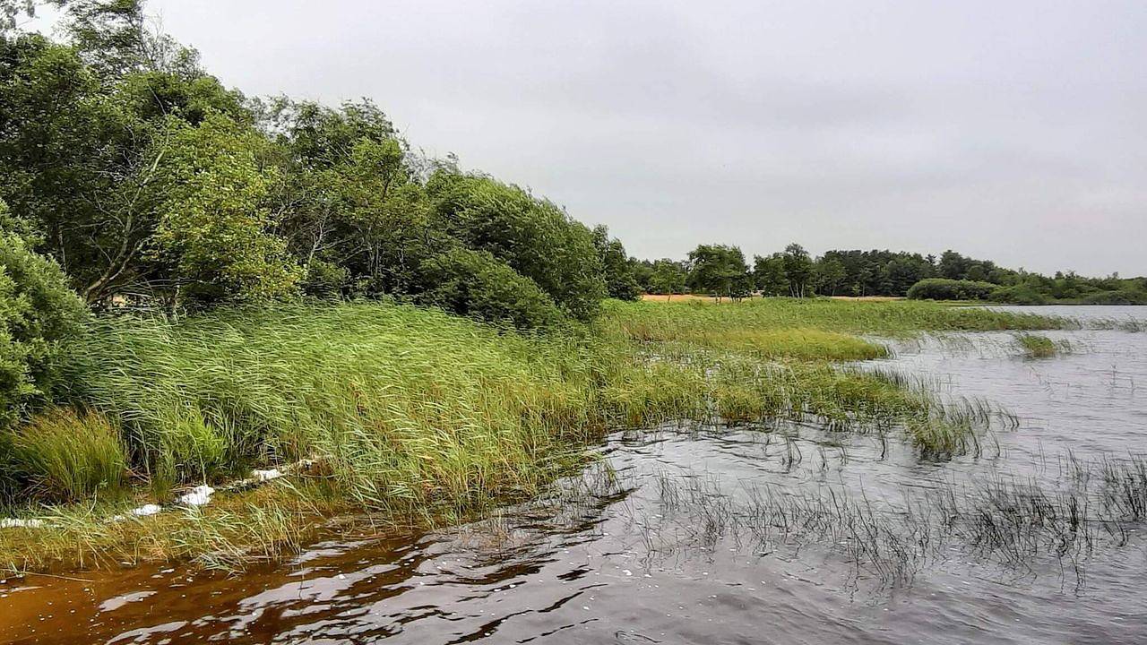 Ferienhaus für 10 Personen (132 m²) in Ansager in Varde Region
