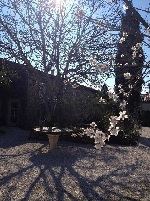 Gîte pour 4 personnes, avec piscine ainsi que vue et jardin, adapté aux familles à Vézénobres - 4